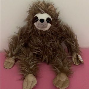 A cute sloth